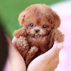 Robotic Puppy Toy Lifelike Interactive Pet With Realistic Movements