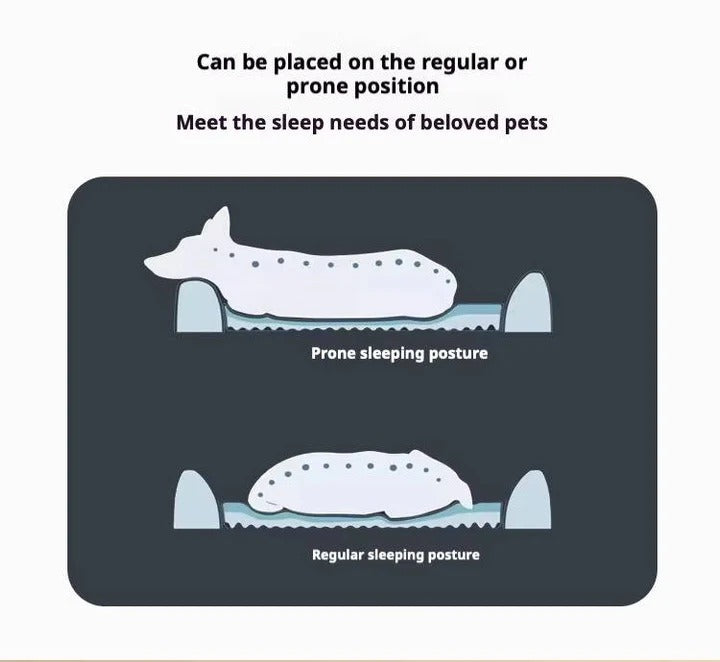 Orthopedic Dog Beds for Car Travel