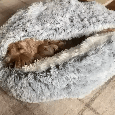 Calming Dog Beds for Restful Sleep