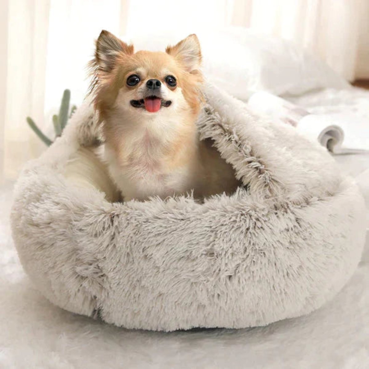 Calming Dog Beds for Restful Sleep