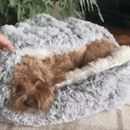 Calming Dog Beds for Restful Sleep
