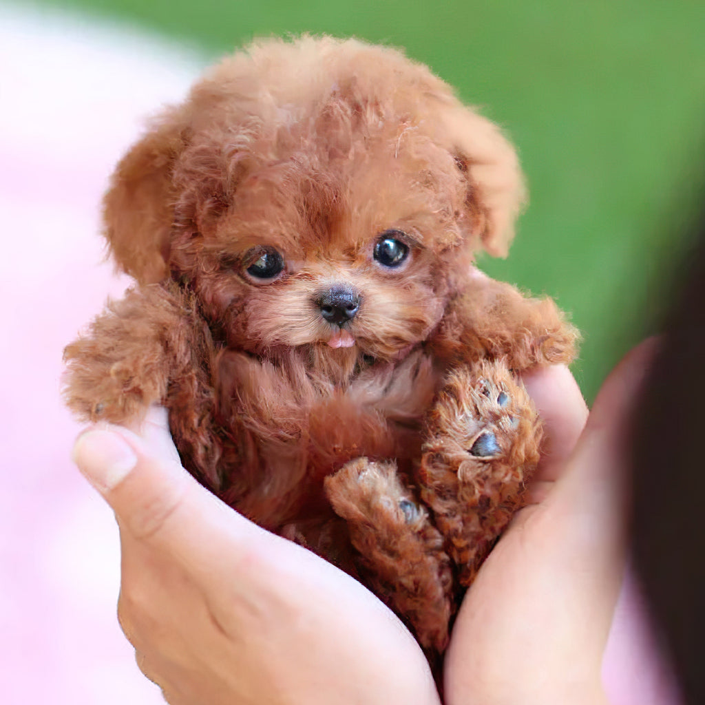 Smart Interactive Puppy Toy with Realistic Actions