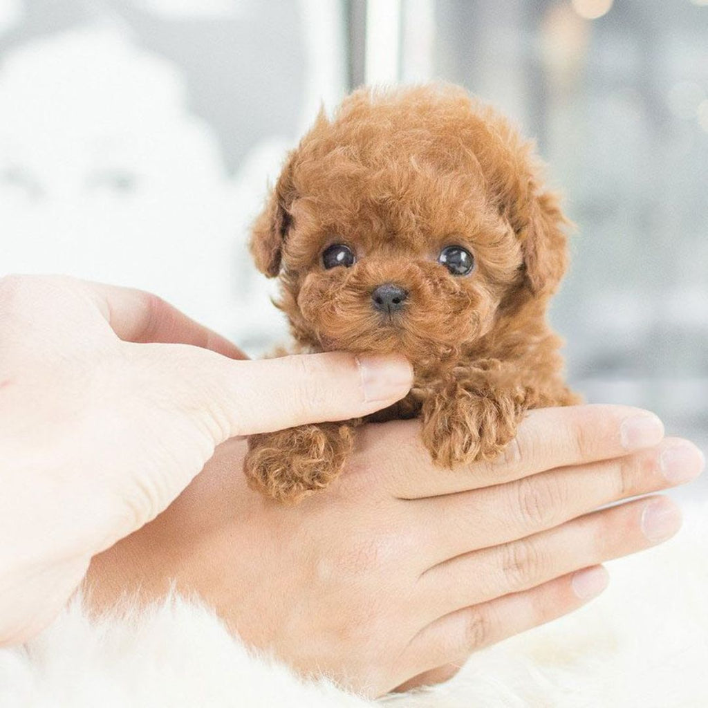 Smart Interactive Puppy Toy with Realistic Actions