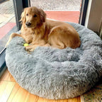 Calming Dog Beds with Orthopedic Support