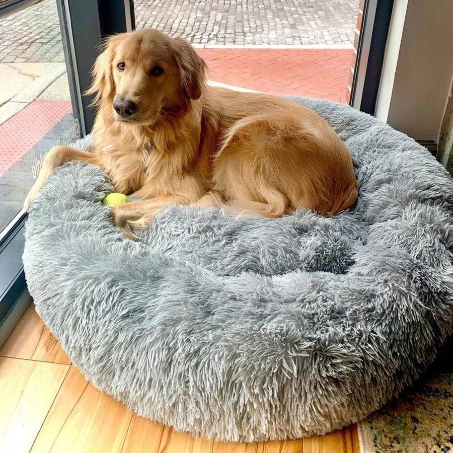 Calming Dog Beds with Orthopedic Support