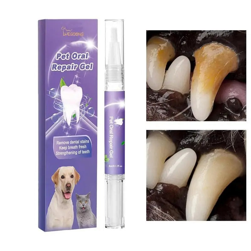 Easy-Use Pet Dental Pen for Cats & Dogs