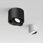 Directional Ceiling Spotlight Rotating Surface Mount Light