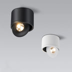Directional Ceiling Spotlight Rotating Surface Mount Light
