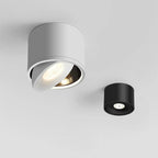 Directional Ceiling Spotlight Rotating Surface Mount Light