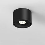 Directional Ceiling Spotlight Rotating Surface Mount Light