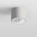Directional Ceiling Spotlight Rotating Surface Mount Light