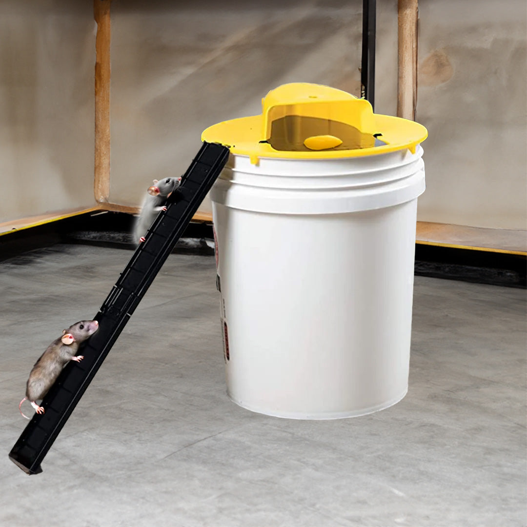 Humane Bucket Rodent Trap Reusable Mouse and Rat Control Solution