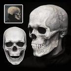 Human Skull Full Head Mask Movable Jaw Halloween Accessory