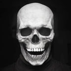 Human Skull Full Head Mask Movable Jaw Halloween Accessory