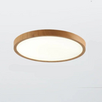 Modern Slim Round Ceiling Light Dimmable 3-Mode LED Fixture