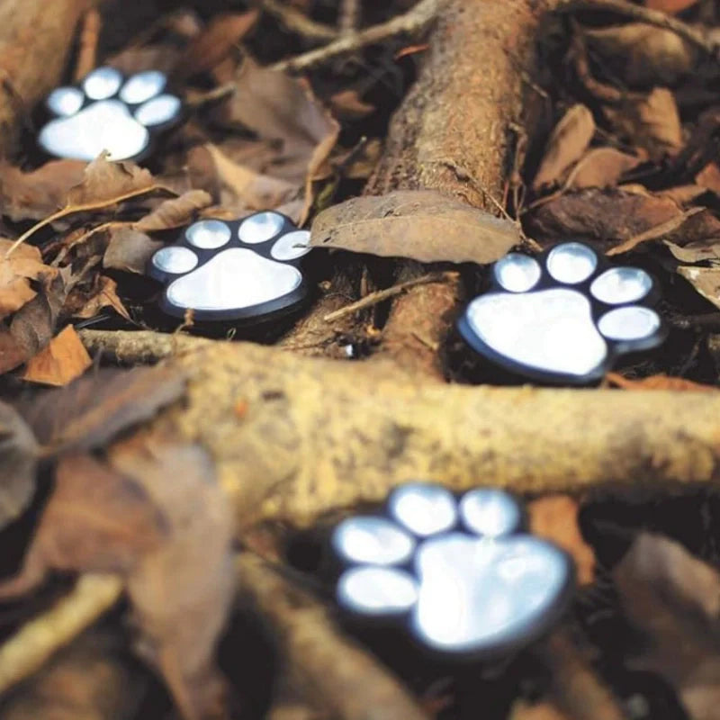 PawGlow™ - Image 2