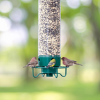 Outdoor Squirrel Proof Bird Feeder Multi-Port Wild Bird Feeder