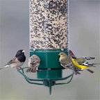 Outdoor Squirrel Proof Bird Feeder Multi-Port Wild Bird Feeder