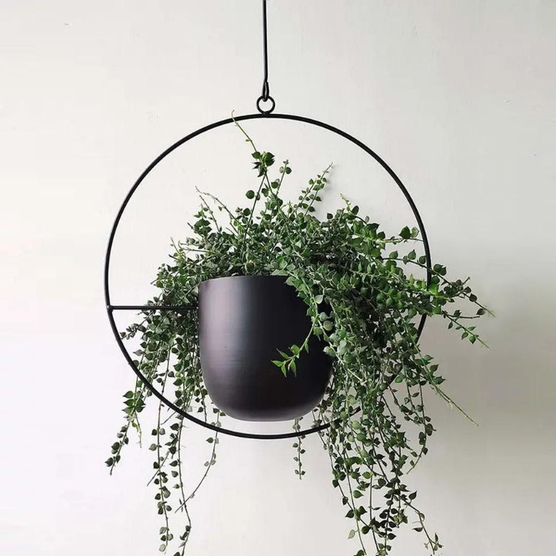 Elegant Hanging Plant Pots Collection