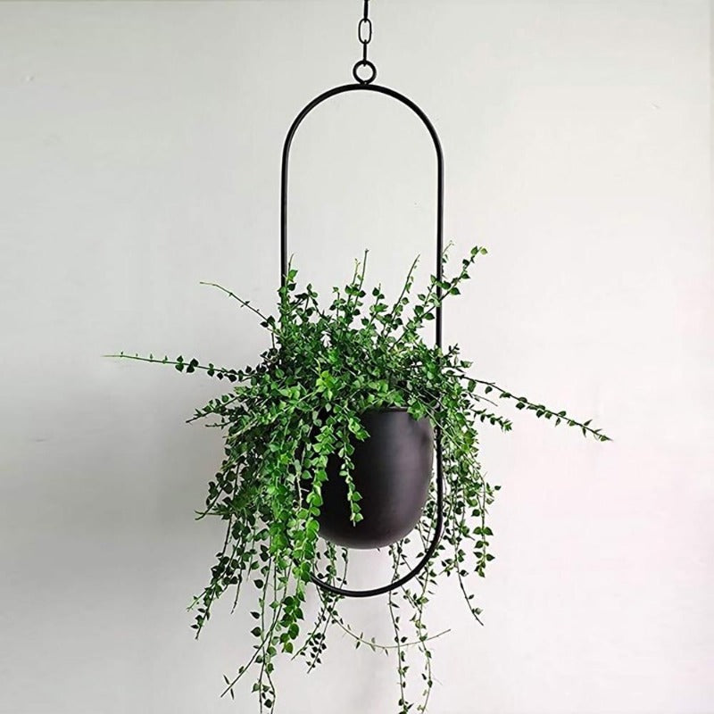 Elegant Hanging Plant Pots Collection