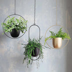 Elegant Hanging Plant Pots Collection