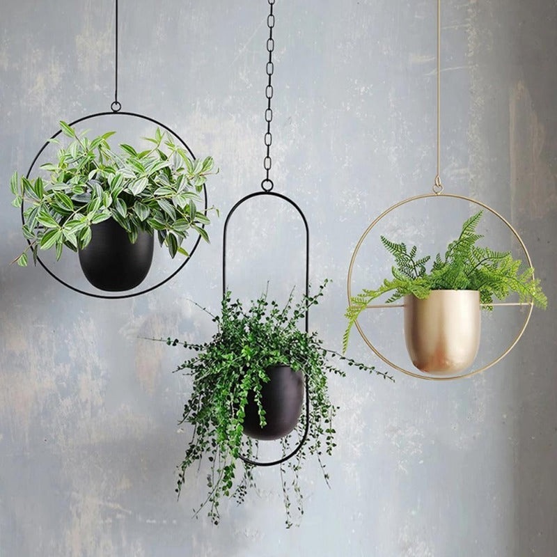 Elegant Hanging Plant Pots Collection