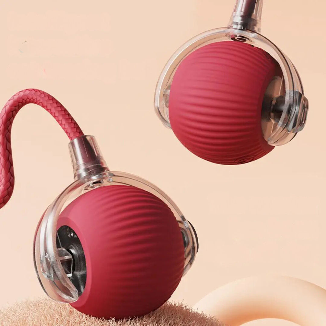 Smart Cat Toy with Tail Motion Indoor Fun