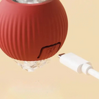 Smart Cat Toy with Tail Motion Indoor Fun