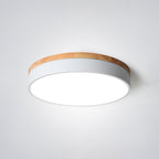 Modern Round Ceiling Light Dimmable Indoor LED Fixture