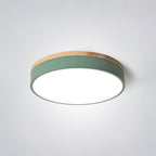 Modern Round Ceiling Light Dimmable Indoor LED Fixture
