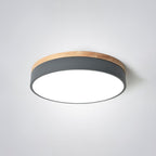 Modern Round Ceiling Light Dimmable Indoor LED Fixture