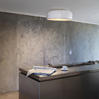 Contemporary LED Ceiling Lamp Adjustable Glow
