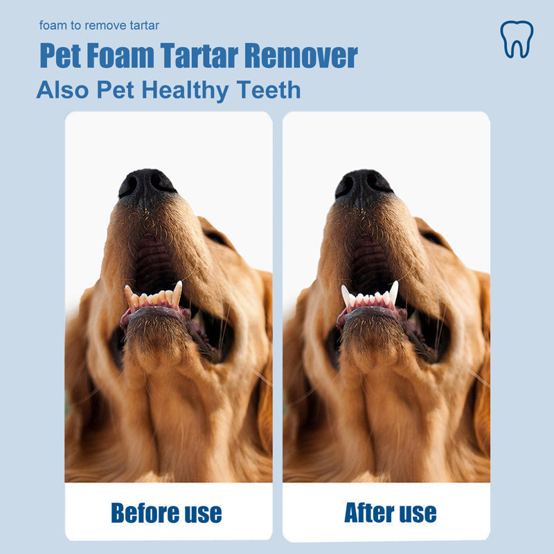 Dog Dental Foam No-Brush Teeth Cleaning Plaque Tartar Remover - Image 5