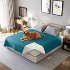 Waterproof Dog Blanket Non Slip Backing - Image 3